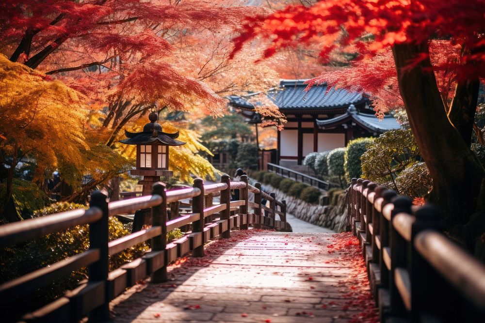 Autumn plant leaf architecture. 