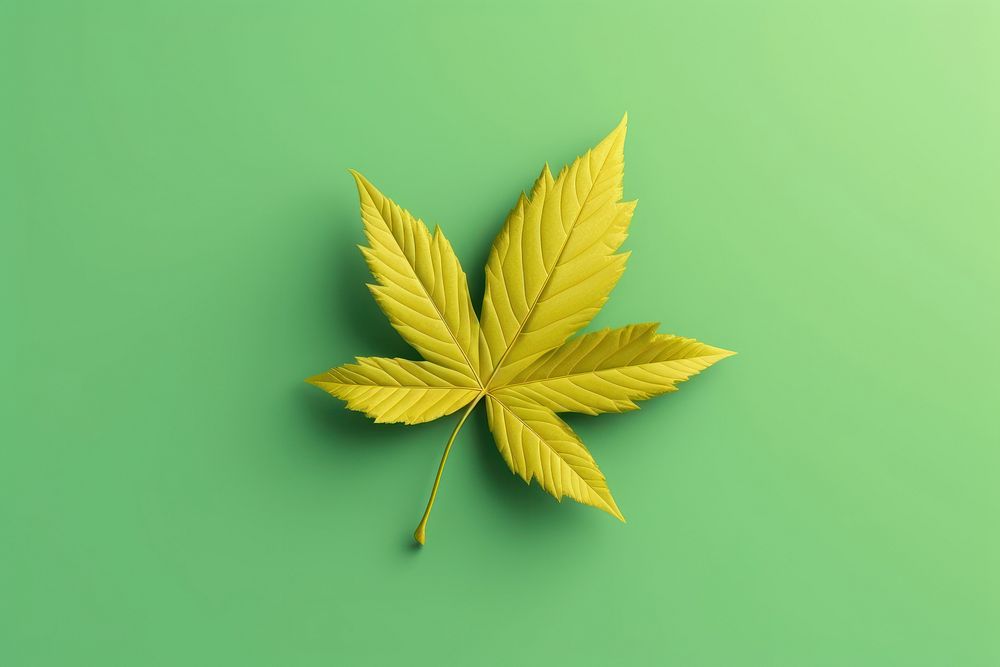 Leaf plant tree cannabis. AI generated Image by rawpixel.
