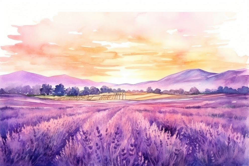 Landscape lavender panoramic outdoors. AI generated Image by rawpixel.