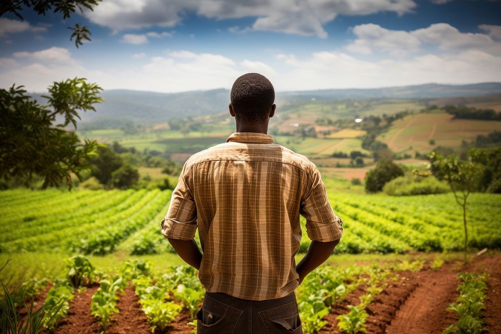 Farm back agriculture outdoors. AI generated Image by rawpixel.