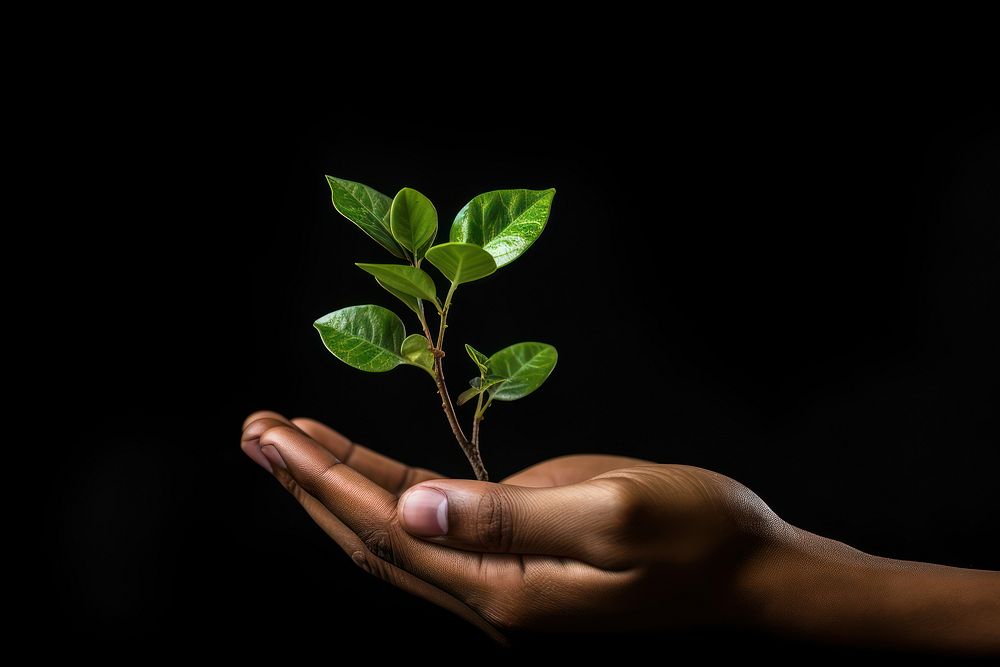 Plant hand holding finger. AI generated Image by rawpixel.