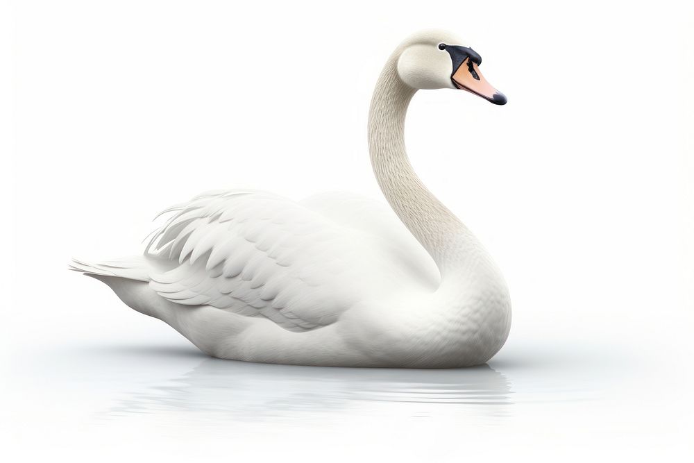 Swan animal goose white. AI generated Image by rawpixel.