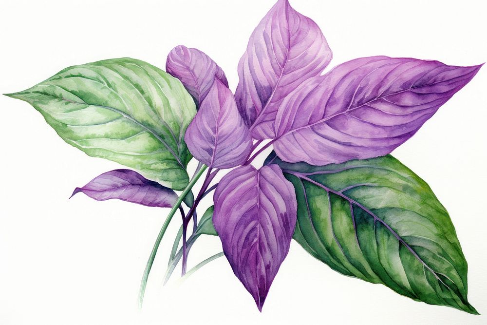 Leaf drawing flower purple. AI generated Image by rawpixel.