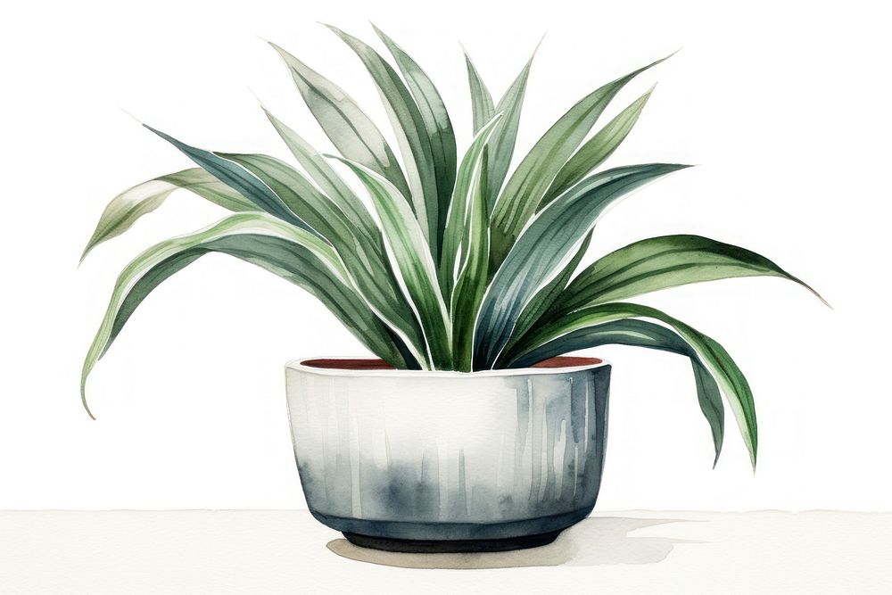 Plant vase white background bromeliaceae. AI generated Image by rawpixel.