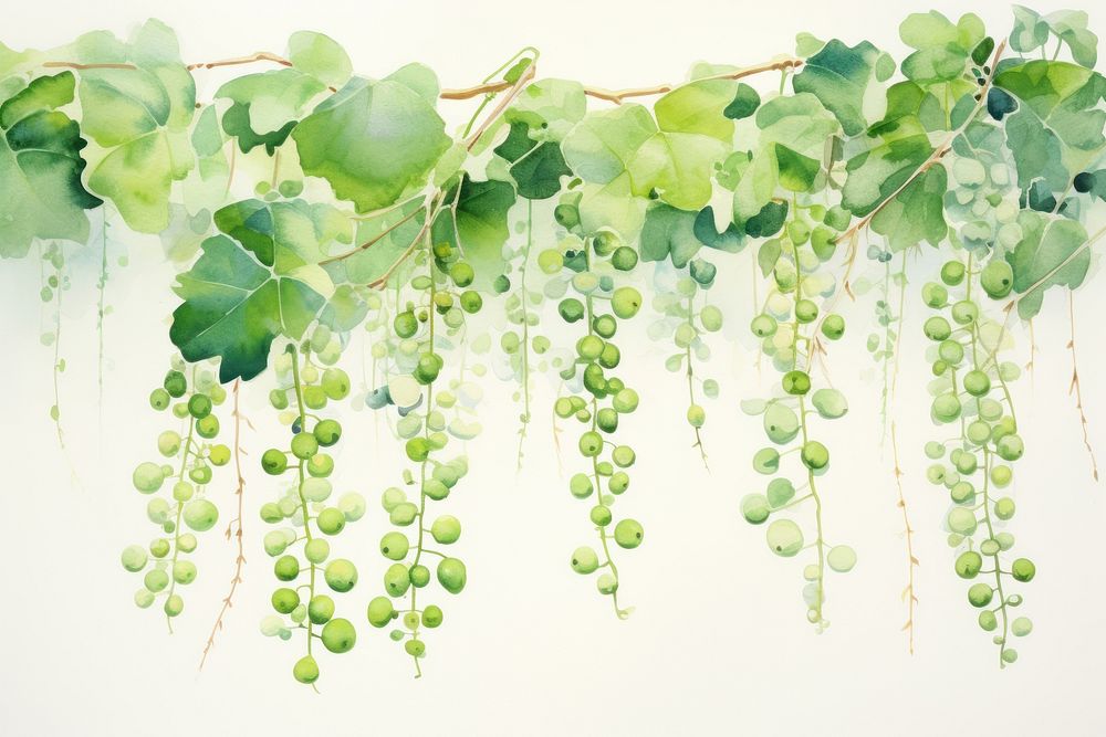 Backgrounds plant vine freshness. AI generated Image by rawpixel.