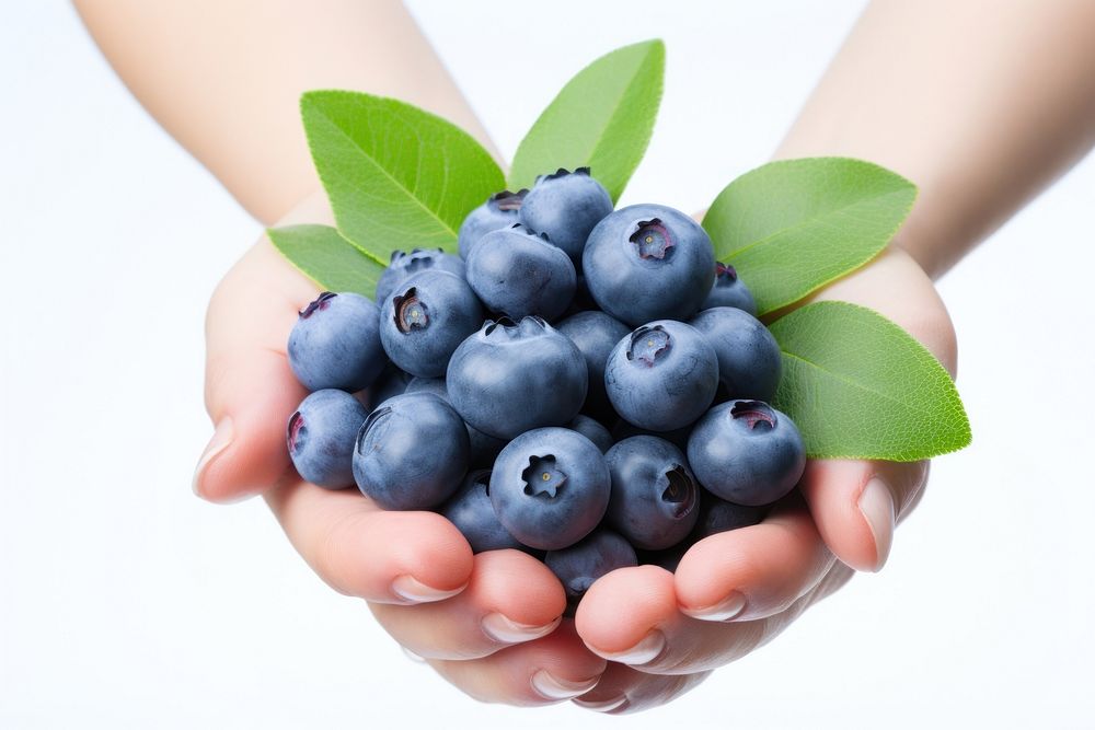 Blueberry berries organic fruit. AI generated Image by rawpixel.