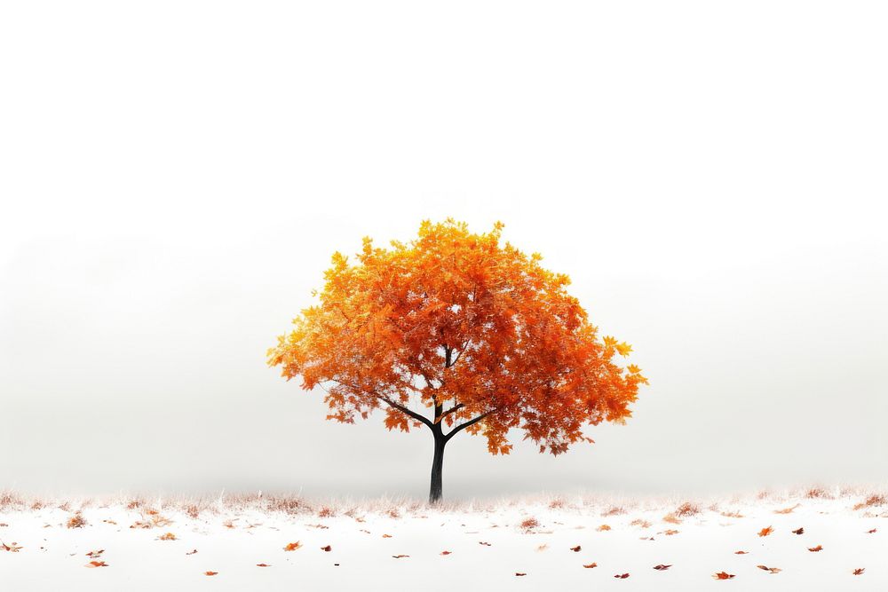 Outdoors plant maple tree. AI generated Image by rawpixel.