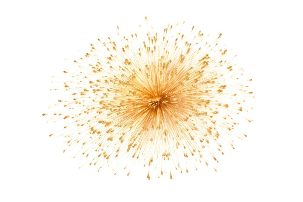 Fireworks white background exploding abstract. AI generated Image by rawpixel.