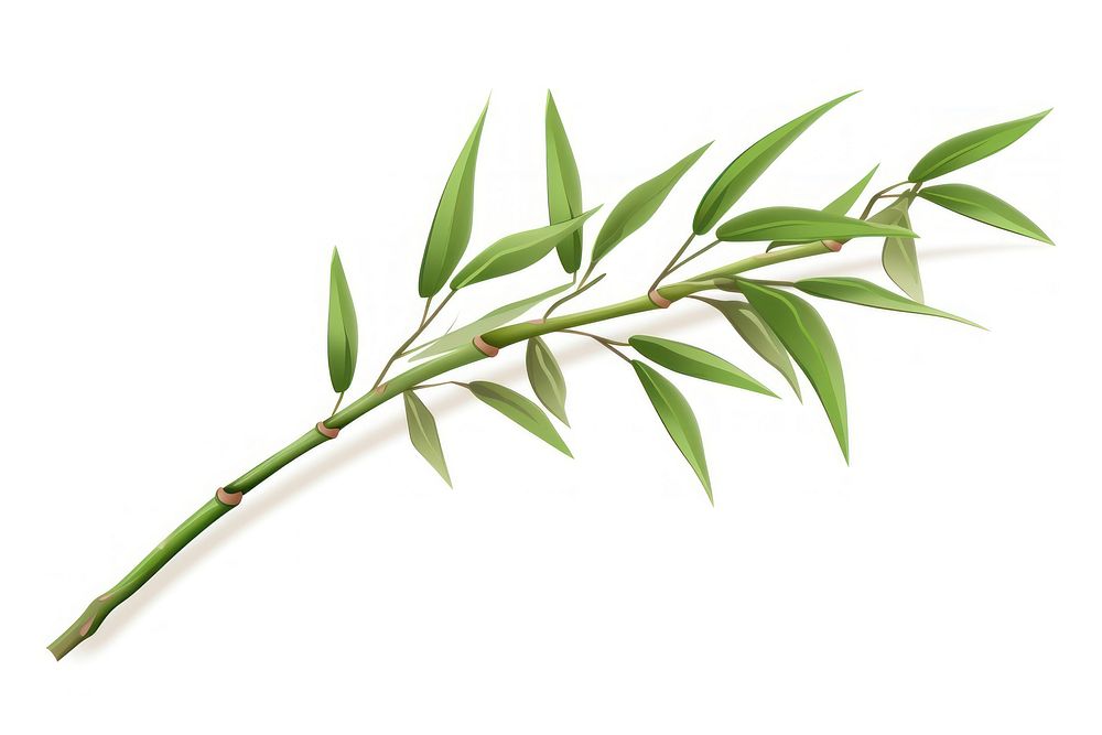 Bamboo plant leaf white background. AI generated Image by rawpixel.