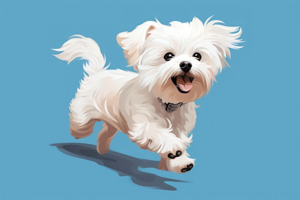 Dog maltese terrier mammal. AI generated Image by rawpixel.