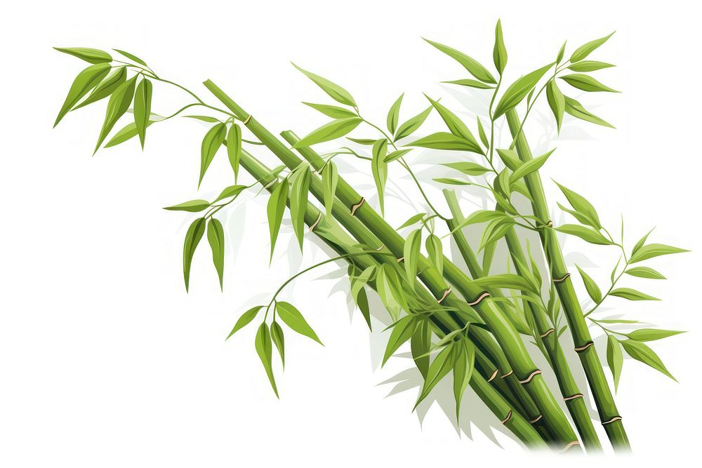 Bamboo plant white background asparagus. AI generated Image by rawpixel.