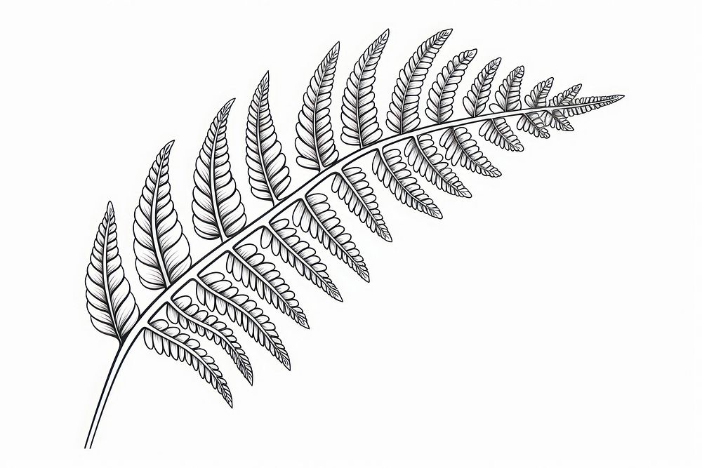 Fern plant line art. AI generated Image by rawpixel.