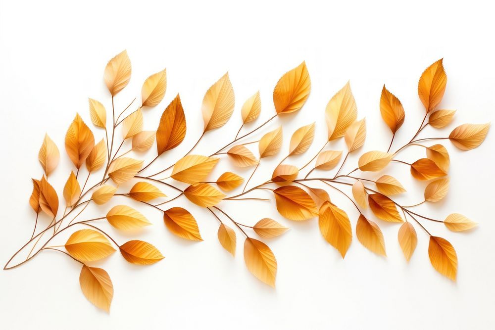 Pattern plant leaf creativity. AI generated Image by rawpixel.