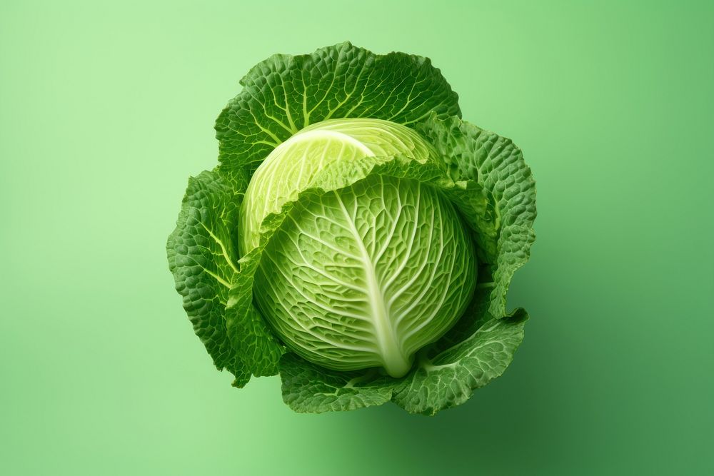 Vegetable cabbage plant food. AI generated Image by rawpixel.