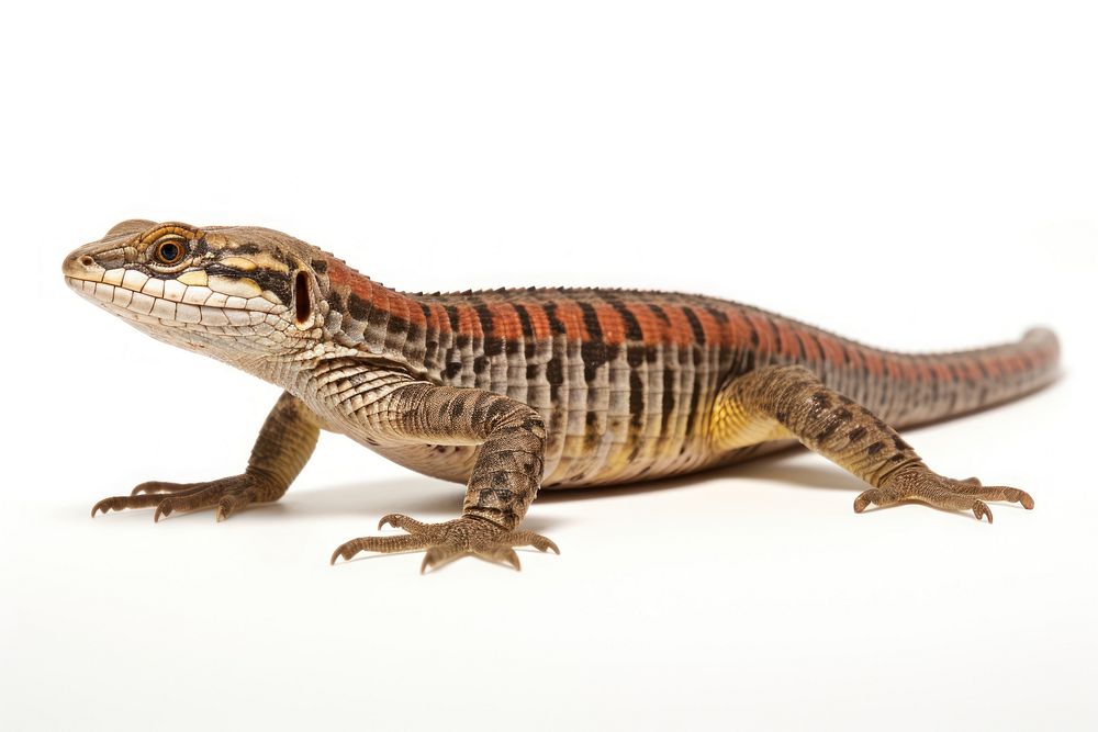 Lizard wildlife reptile animal. AI generated Image by rawpixel.