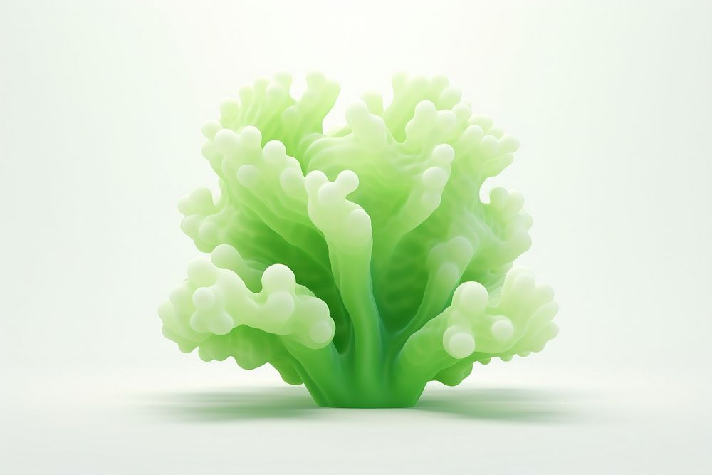 Cauliflower vegetable plant green. AI generated Image by rawpixel.