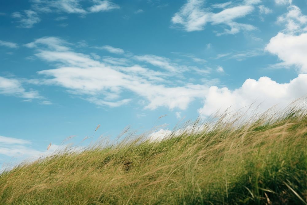 Grass sky outdoors horizon. AI generated Image by rawpixel.