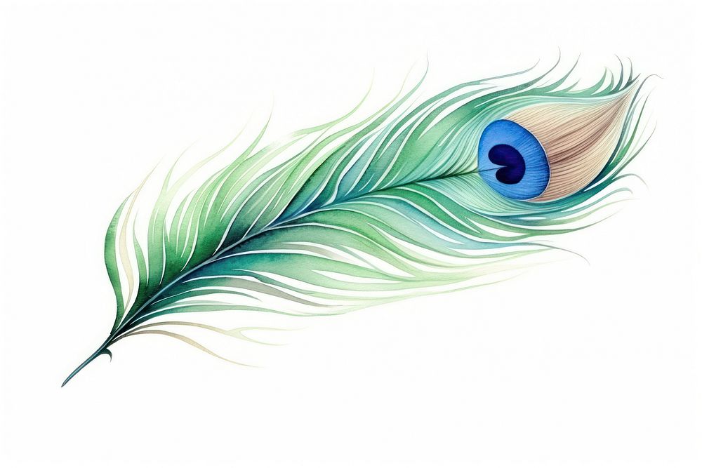 Peacock feather pattern drawing. AI generated Image by rawpixel.