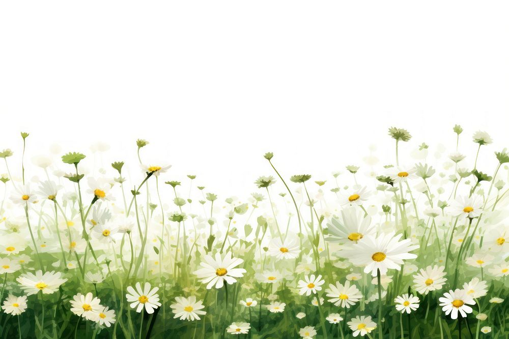 Flower daisy field backgrounds. AI generated Image by rawpixel.