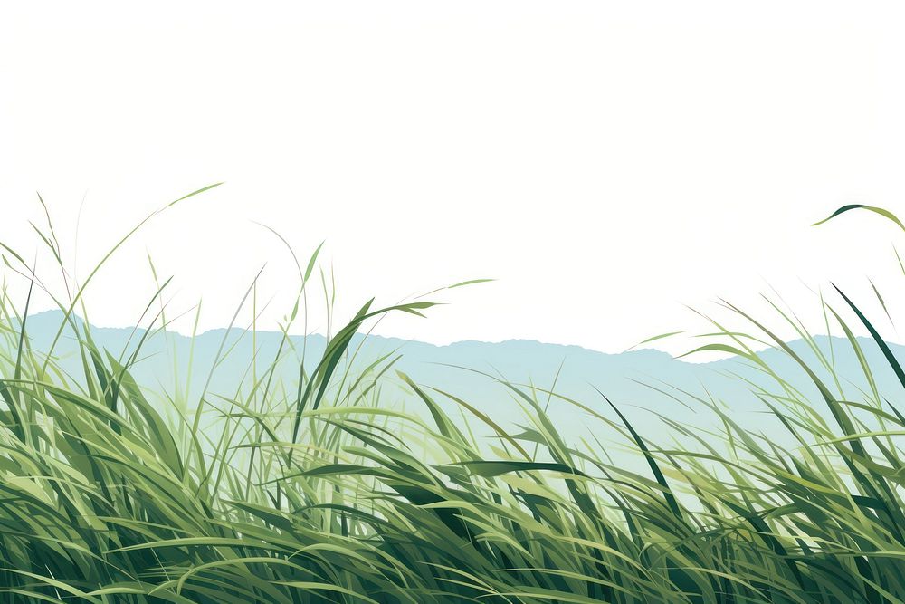 Grass backgrounds outdoors nature, digital paint illustration.