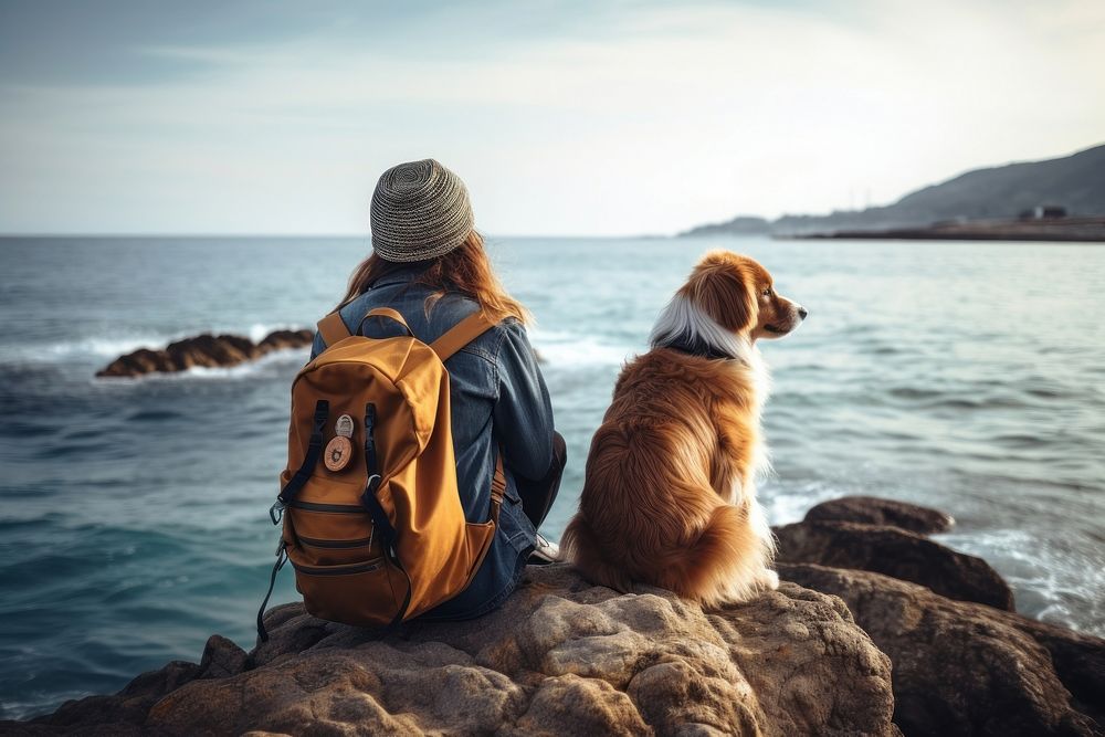 Pet dog backpack animal. AI generated Image by rawpixel.
