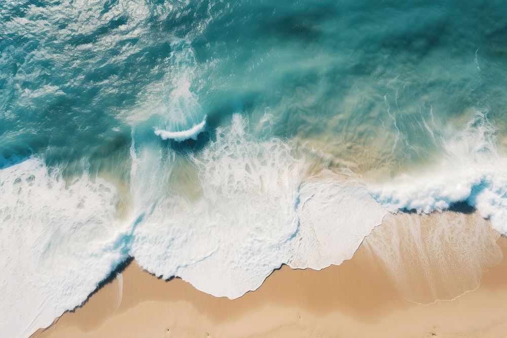 Beach ocean outdoors nature. 
