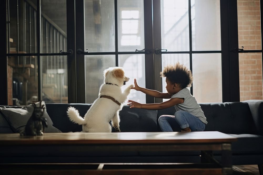 Dog architecture furniture animal. 