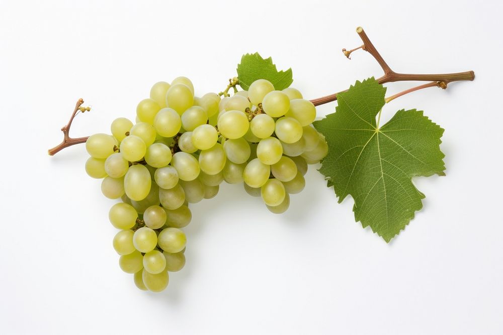 Grapes fruit bunch plant. AI generated Image by rawpixel.