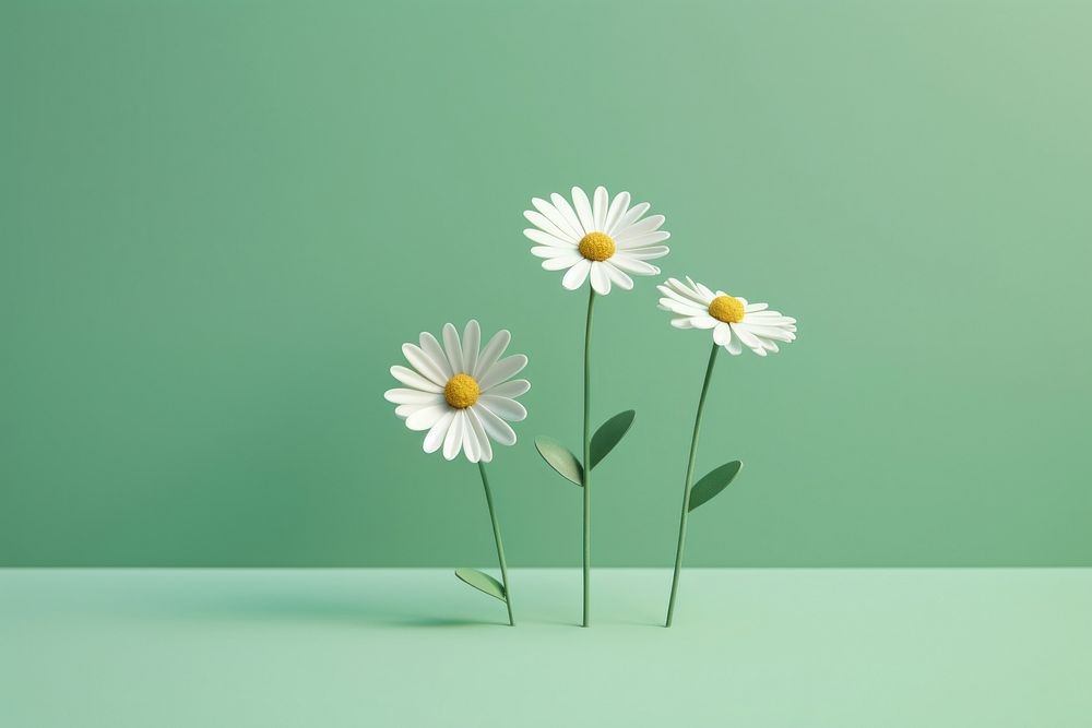 Flower daisy plant green. AI generated Image by rawpixel.