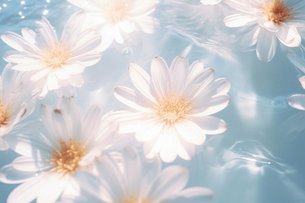 Flower backgrounds outdoors blossom. AI generated Image by rawpixel.