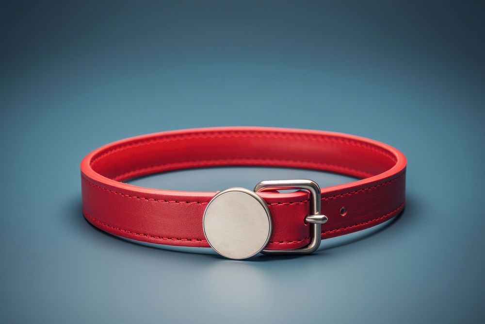 Collar circle belt accessories. AI generated Image by rawpixel.