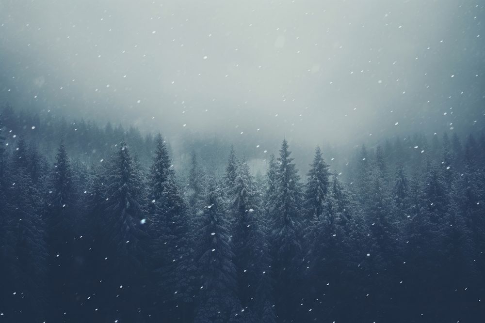Snow land backgrounds snowflake. AI generated Image by rawpixel.