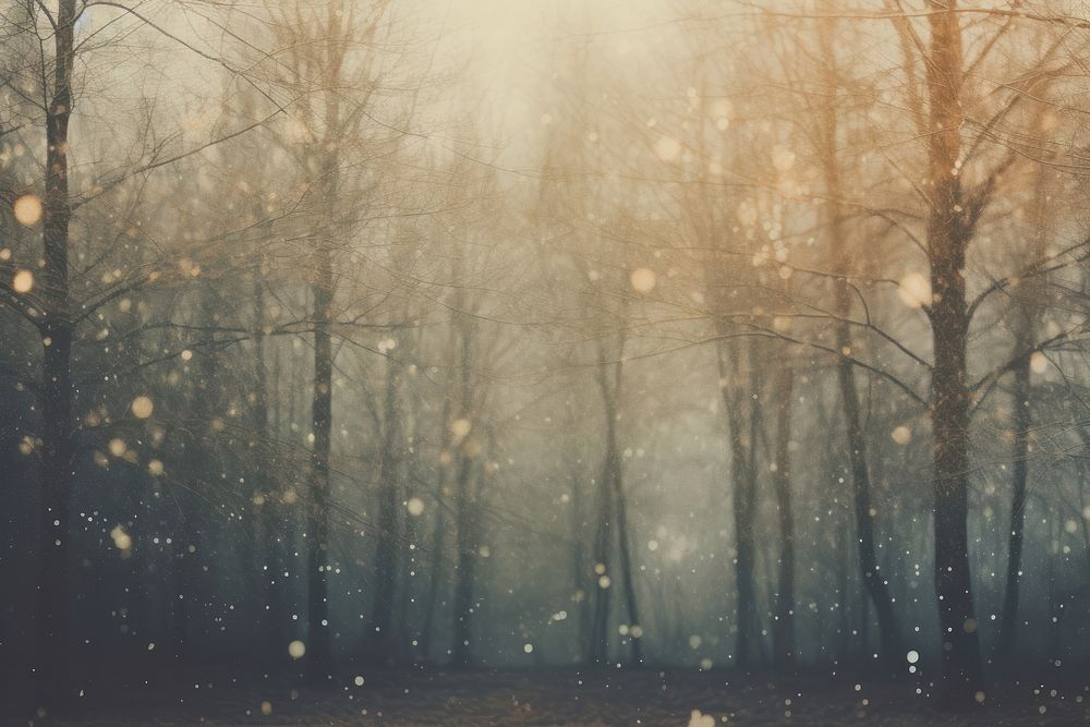 Tree backgrounds snowflake outdoors. AI generated Image by rawpixel.