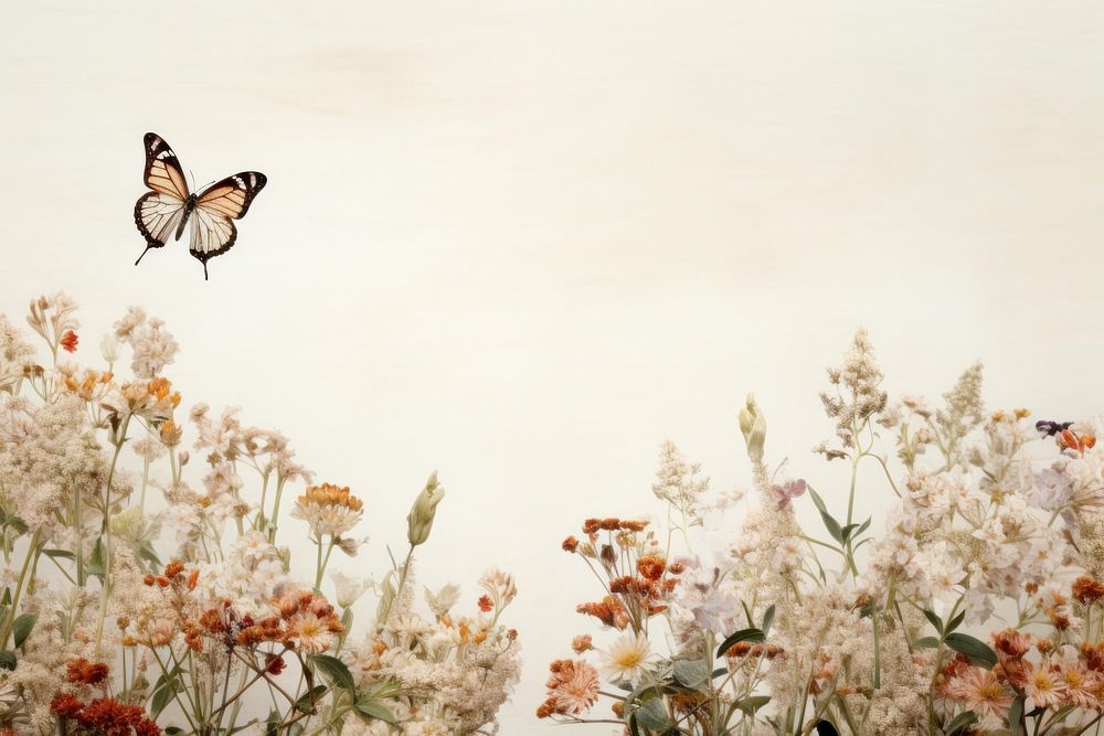 Butterfly flower outdoors animal. 