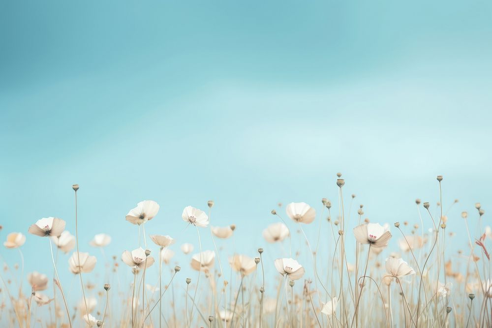 Flower backgrounds outdoors blossom. AI generated Image by rawpixel.