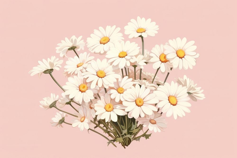 Flower daisy plant inflorescence. AI generated Image by rawpixel.