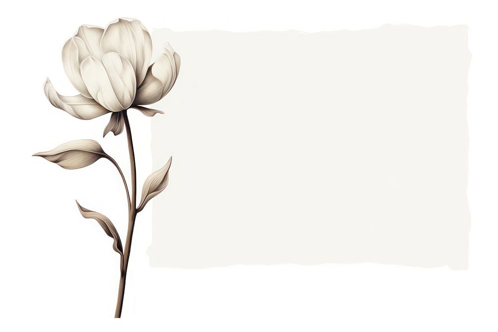 Drawing flower sketch plant. 