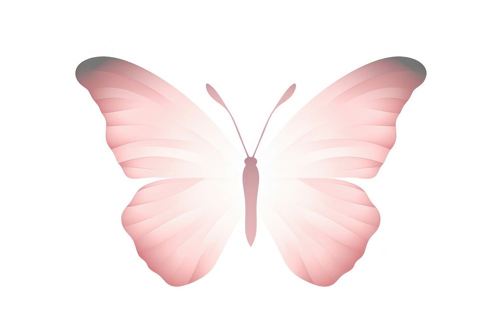 Butterfly insect wing white background. AI generated Image by rawpixel.