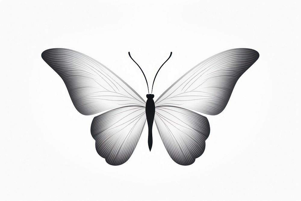 Butterfly drawing insect animal. AI generated Image by rawpixel.