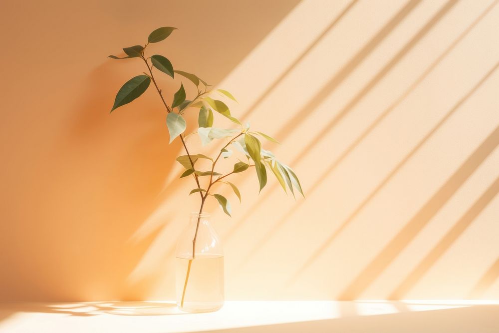 Sunlight plant leaf vase. 