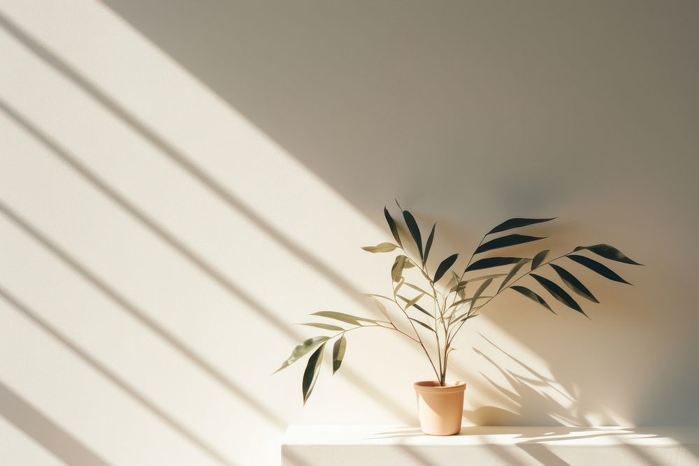 Sunlight plant leaf wall. AI generated Image by rawpixel.