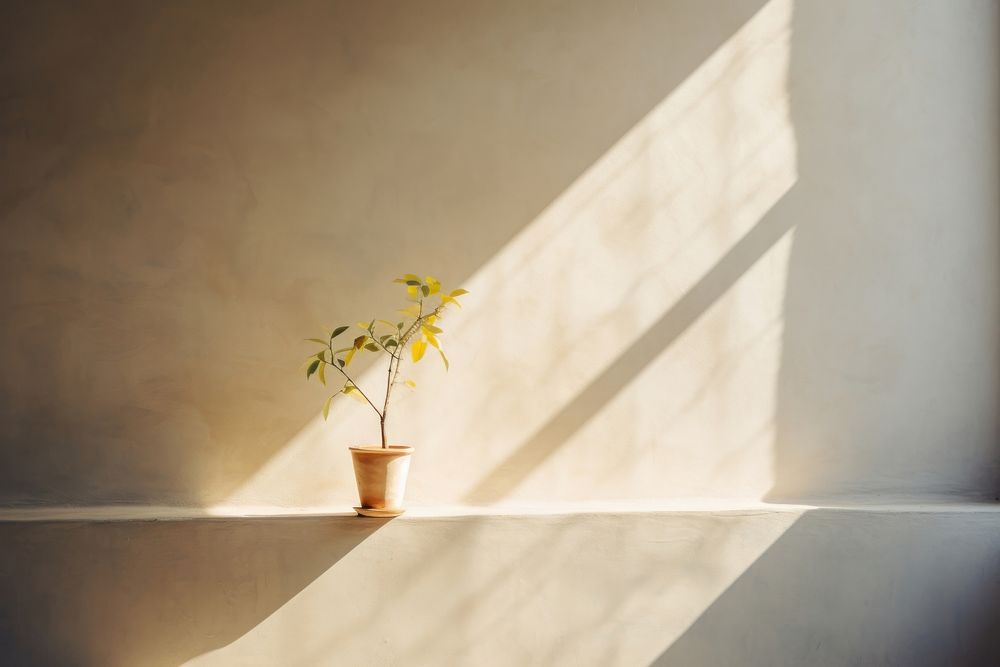 Wall architecture sunlight window. 