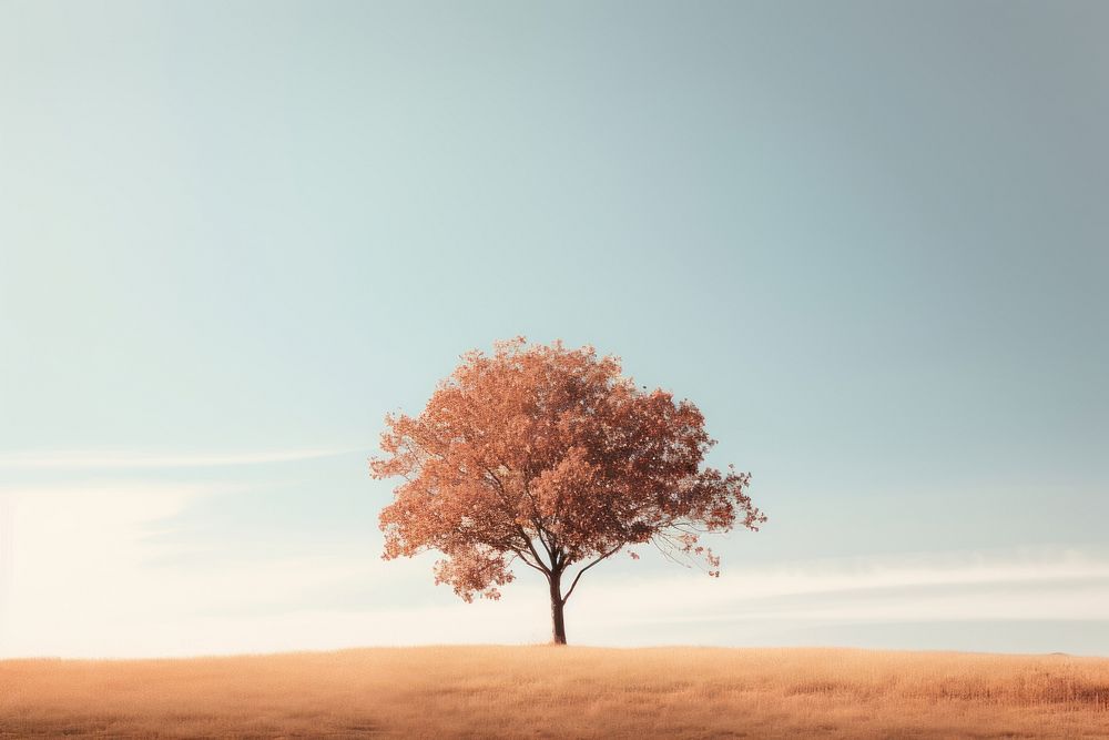Tree sunlight ground plant. AI generated Image by rawpixel.