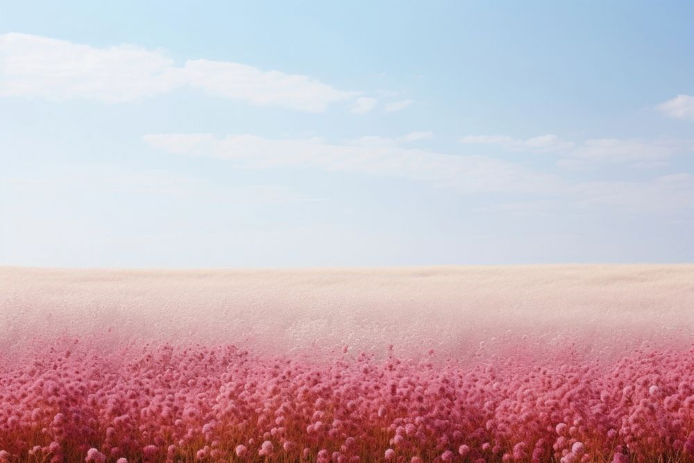 Flower backgrounds landscape outdoors. AI generated Image by rawpixel.