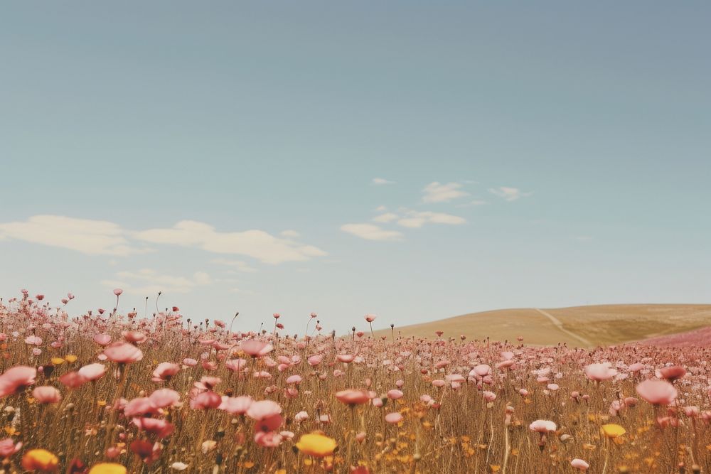Flower field landscape grassland. AI generated Image by rawpixel.