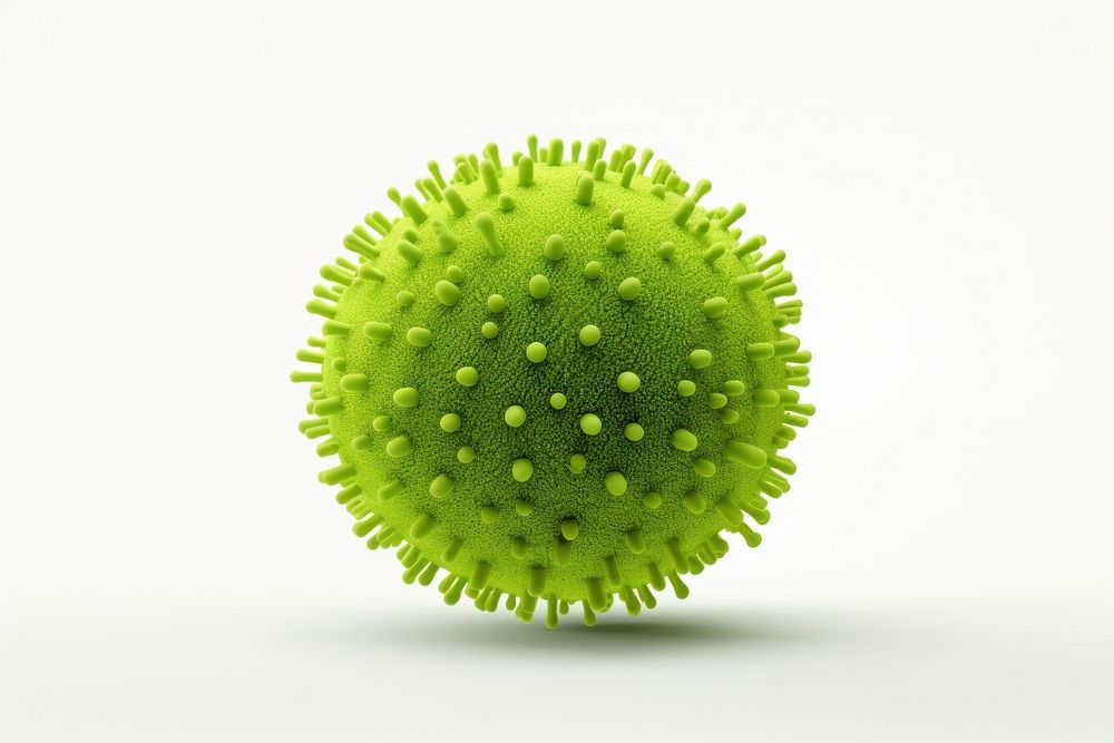 Green sphere shape plant. AI generated Image by rawpixel.