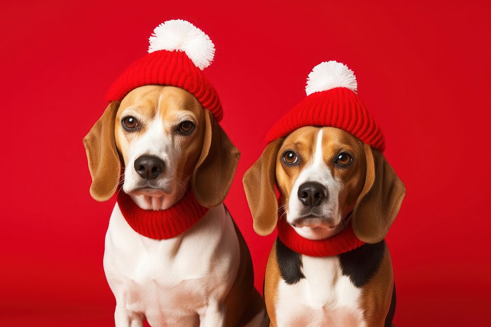 Beagle dog christmas mammal. AI generated Image by rawpixel.