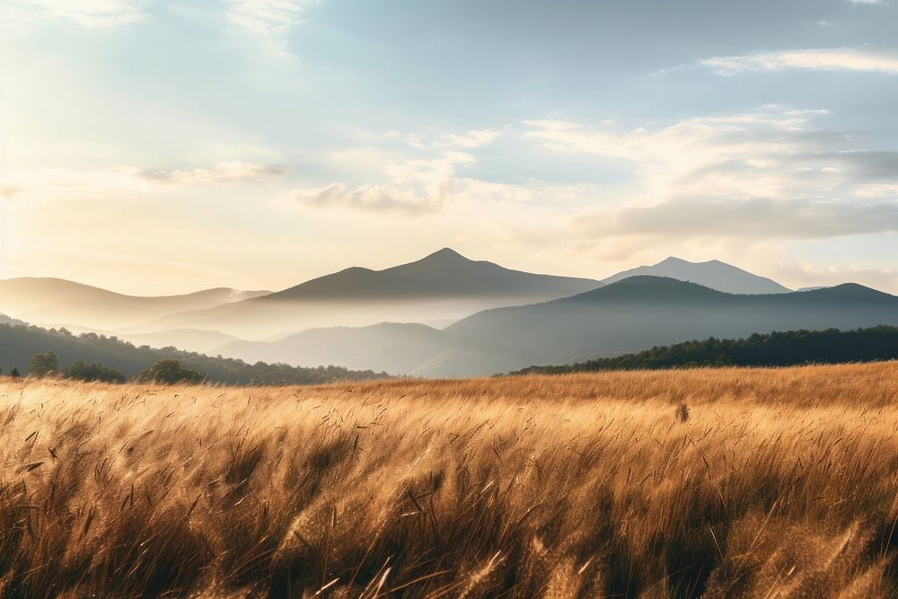 Field landscape mountain outdoors. AI generated Image by rawpixel.