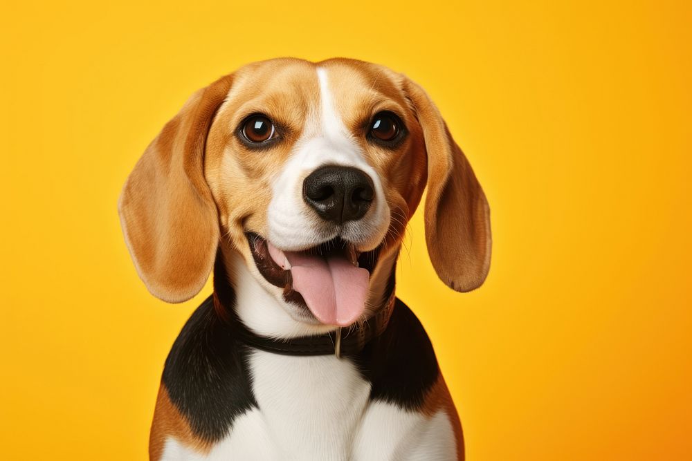 Beagle dog portrait animal. AI generated Image by rawpixel.