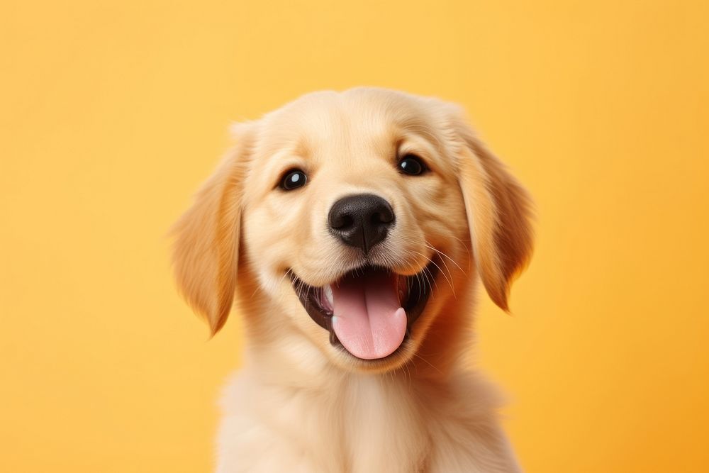 Puppy portrait smiling animal. AI generated Image by rawpixel.